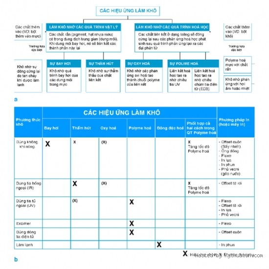 cong ty in, in an, c&ocirc;ng ty in, in ấn